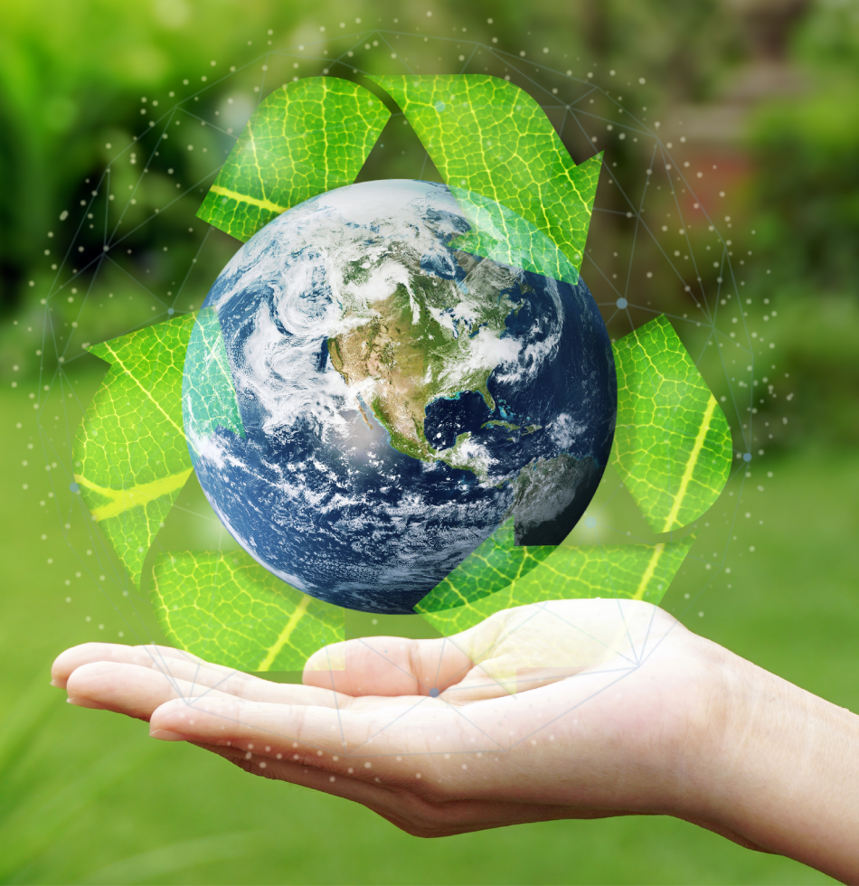 Environmental Impact