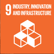 SDG 9